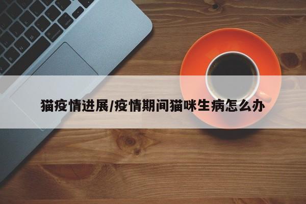 猫疫情进展/疫情期间猫咪生病怎么办