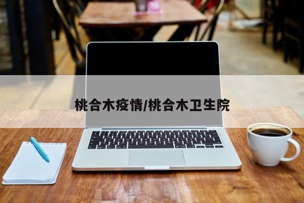 桃合木疫情/桃合木卫生院