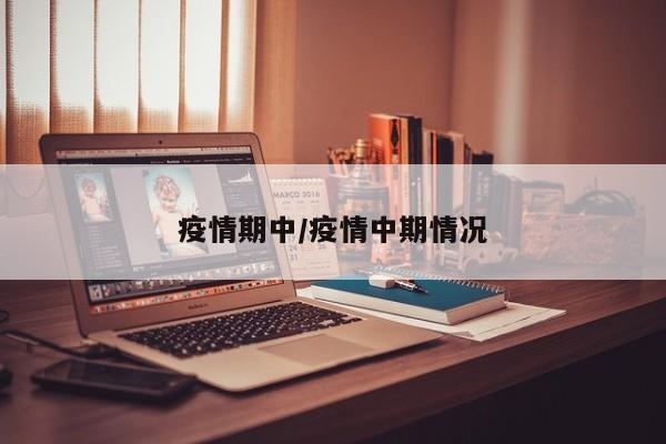 疫情期中/疫情中期情况