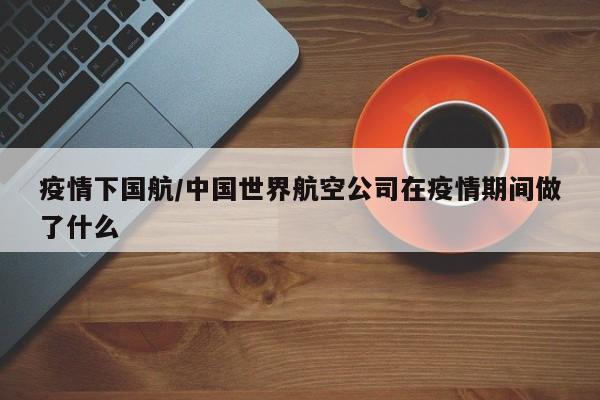疫情下国航/中国世界航空公司在疫情期间做了什么